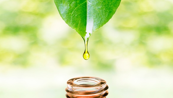 Tajemnice aromaterapii