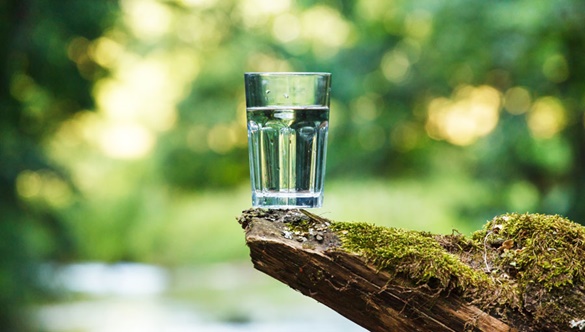 „Surowa woda” – czy rzeczywiście jest zdrowsza od zwykłej?
