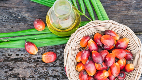 Czym jest olej palmowy i czy powinniśmy go unikać w diecie?