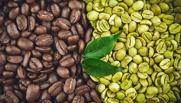 Jakie właściwości ma zielona kawa?