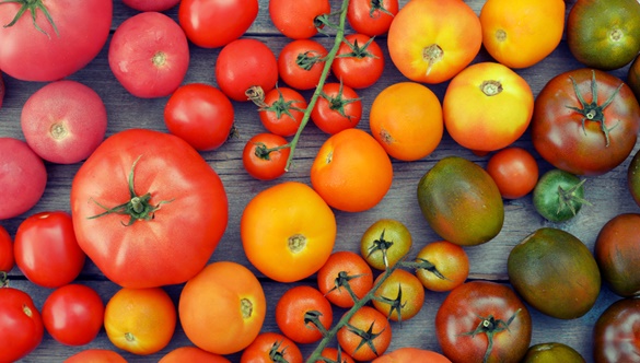 Pomidory dodadzą witalności