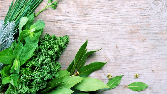 Świeże zioła w kuchni – stwórz własny ziołowy ogródek na parapecie