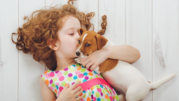 Zwierzę w domu – jak nauczyć dziecko odpowiedzialności?