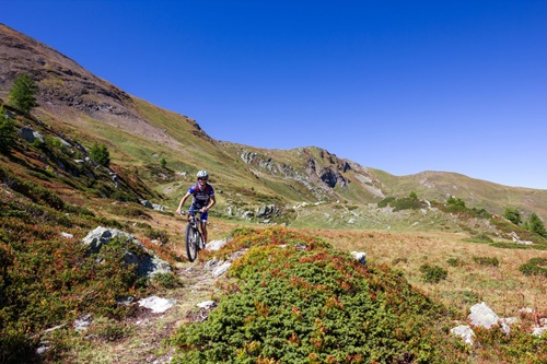 Polskie szlaki rowerowe - rowerowe wycieczki - rodzinazdrowia.pl