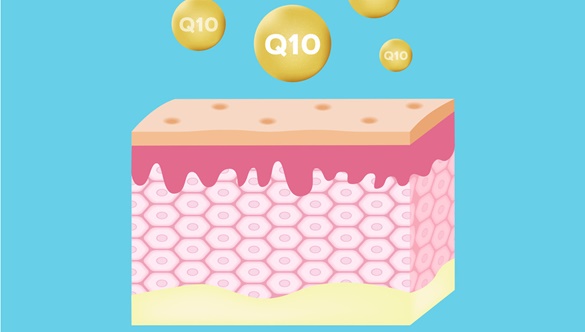 Tajemniczy koenzym Q10 – rozszyfrowujemy jego działanie!