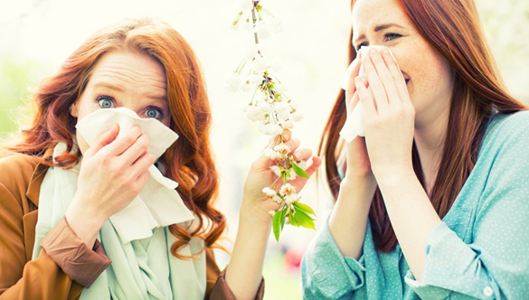 Kichaj na alergię! W jaki sposób przetrwać okres pylenia?
