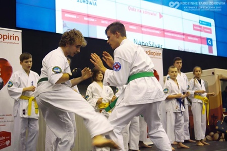 Rodzinne Targi Zdrowia, pokaz karate